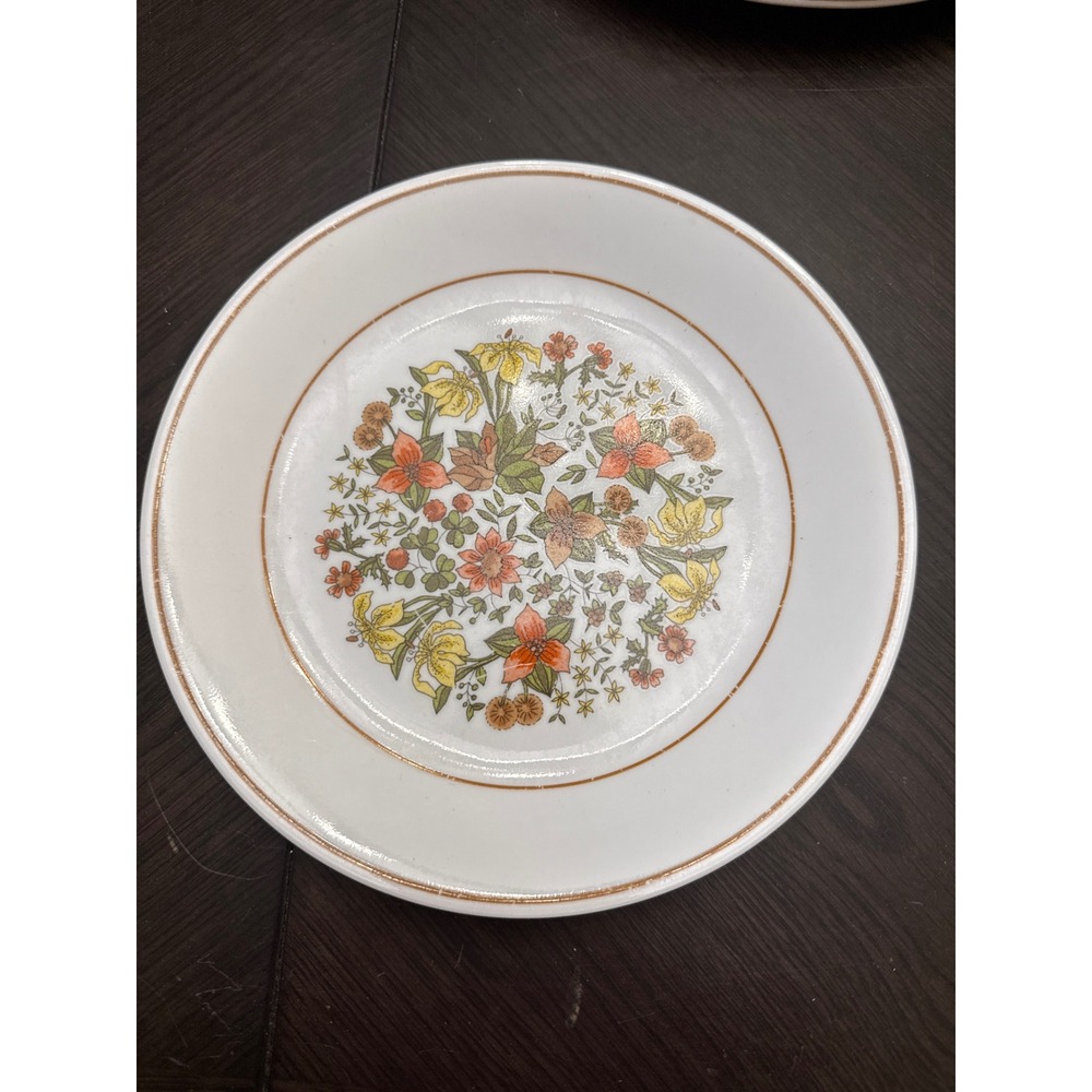 Corelle Indian Summer Dinner Plate 8.5" Corning Vitrelle Floral Vintage USA